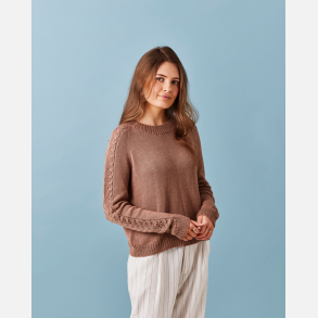 Raglanbluse med m�nster p� �rmerne